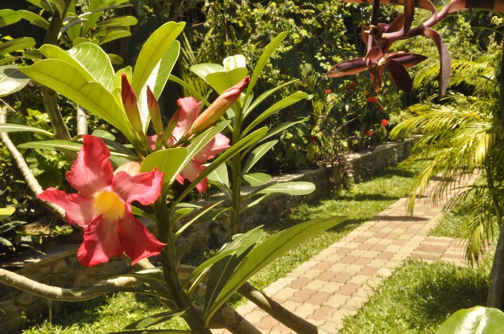 Green Villa Unawatuna Ngoại thất bức ảnh